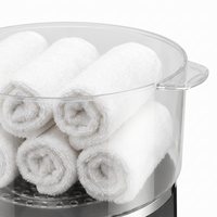 Hot Towel Steamer