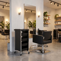 Salon Trolley Regent