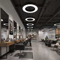 Hanging Circular Led Light