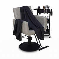 Salon Chair Glamour