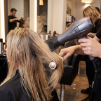 2500W Professional Hair Dryer