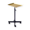 DeltaPro -  Salon Tray on Wheels - Gold