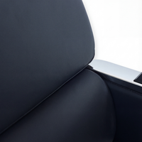 Salon Chair Majesty Black / Silver