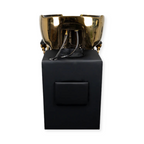 Royal Shampoo Bed Wash Unit Gold