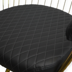 Salon Chair - Luxe - Gold/Black