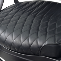 DeltaPro - Barber Chair - DBC009 - Cavalier - Matte Black