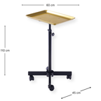 DeltaPro -  Salon Tray on Wheels - Gold