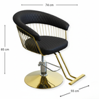 Salon Chair - Luxe - Gold/Black