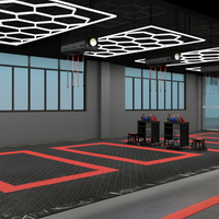 Honeycomb Hexagon Lighting