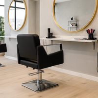 Salon Chair Madame Silver