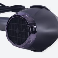 2500W Professional Hair Dryer