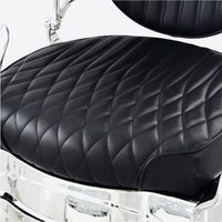 DeltaPro - Barber Chair - DBC009 - Cavalier - Silver/Black