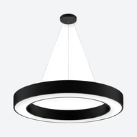 Hanging Circular Led Light