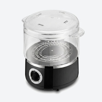 Hot Towel Steamer