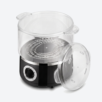 Hot Towel Steamer