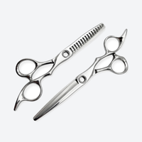 Japanese Steel Professional Barber Scissor Set