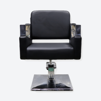 Salon Chair Madame Silver
