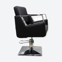 Salon Chair Madame Silver