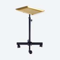 DeltaPro -  Salon Tray on Wheels - Gold