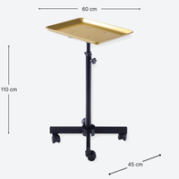 DeltaPro -  Salon Tray on Wheels - Gold