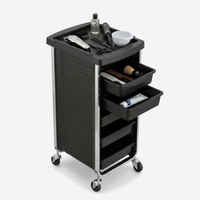 Salon Trolley Regent