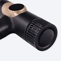 Elite Hairdryer Pro 1