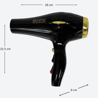 Goldstyle Hairdryer