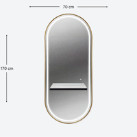 Noa Salon Mirror London Gold