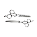 Professional Barber Scissor Set