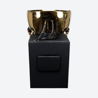Royal Shampoo Bed Wash Unit Gold